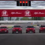 Alfa Romeo Driving Academy, on track with Scuderia de Adamich