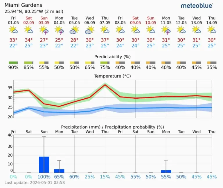 Heavy rain for the race: options on the table in Miami