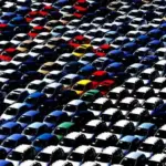 August of license plates. The car market raises its head, slightly