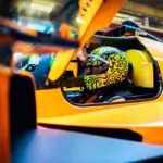 Norris tried the McLaren Hypercar at Portimao: “Beautiful, I hope I was helpful”